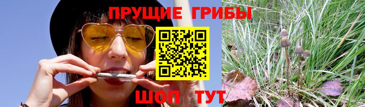 закладки  Галлюциногенные грибы мицелий  Вход с VPN  Балашов 